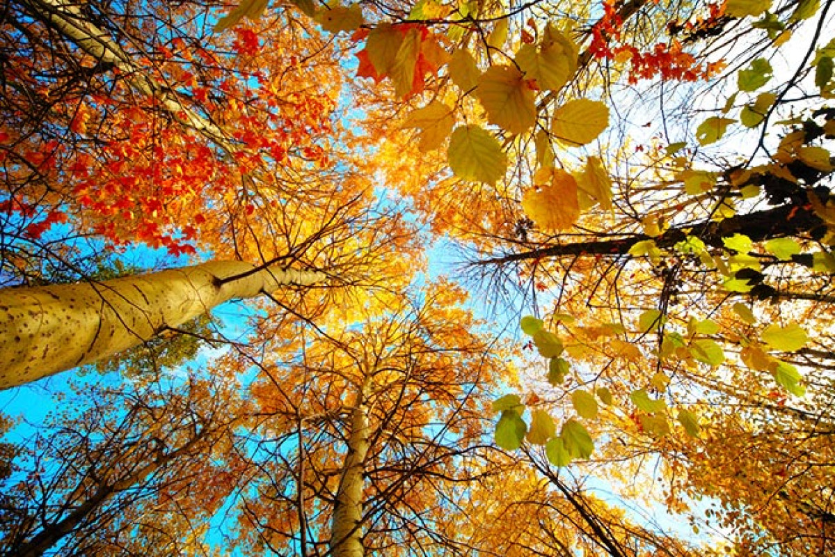 Солнечная погода ожидается в Казахстане 30 сентября