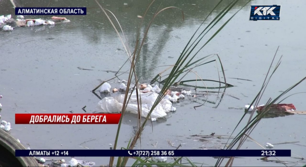 кадр из видео