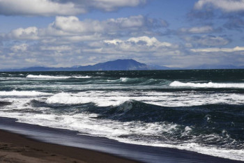 Фотография к новости: Выясняется причина массовой гибели морских животных на Камчатке