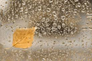 Фотография к новости: Дождливую погоду прогнозируют синоптики в Казахстане 4 октября