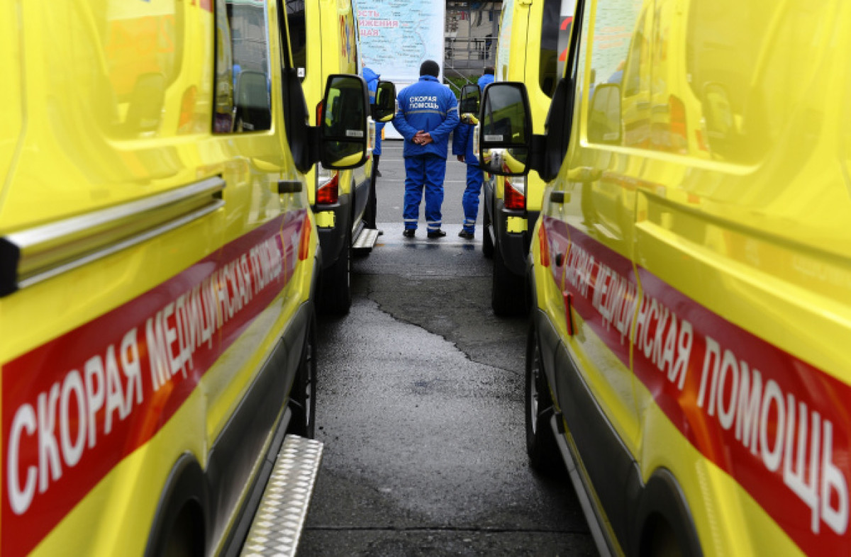 иллюстративное