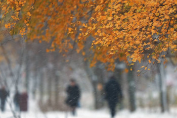 Фотография к новости: Об ухудшении погоды в нескольких областях предупреждает "Казгидромет"