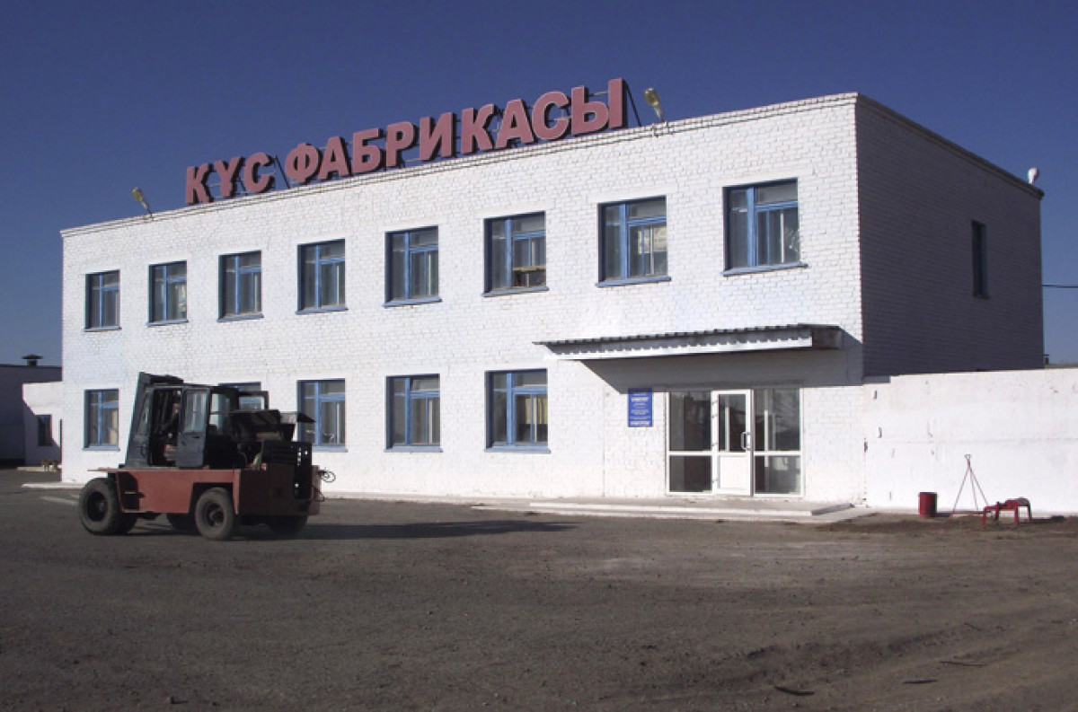 Птицефабрика закрывается из-за птичьего гриппа в Костанайской области