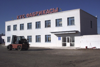 Фотография к новости: Птицефабрика закрывается из-за птичьего гриппа в Костанайской области