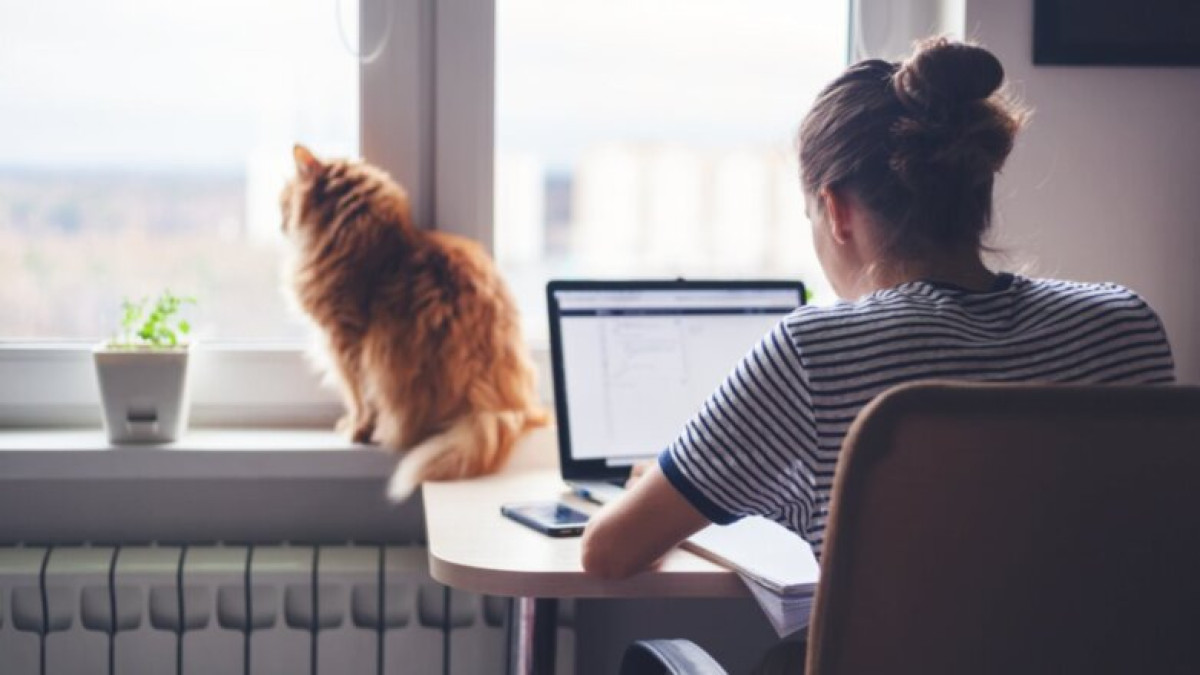 ©Shutterstock / Fotodom