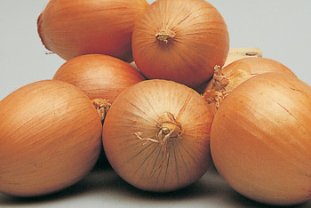 Фотография к новости: Facebook удалил пост с фотографиями лука из-за "откровенных сцен"