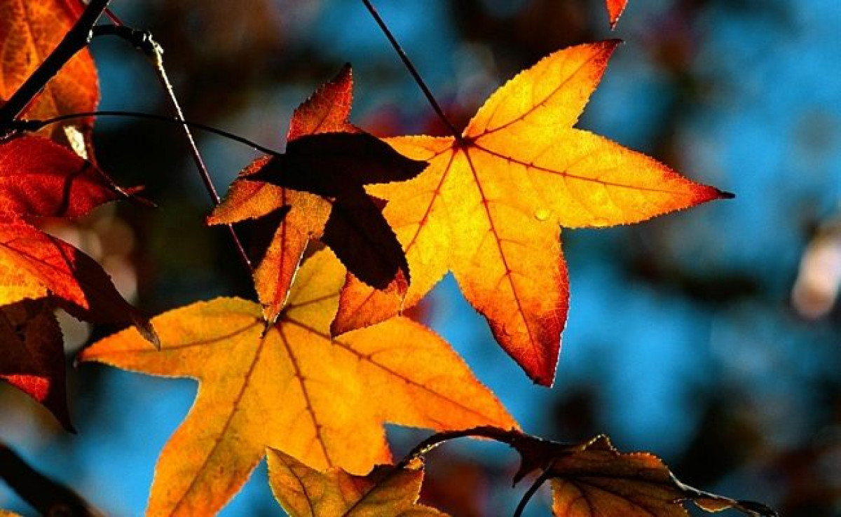 Штормовое предупреждение объявлено в четырех областях Казахстана 12 октября