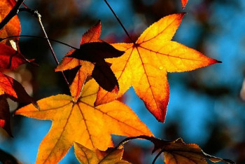 Фотография к новости: Штормовое предупреждение объявлено в четырех областях Казахстана 12 октября