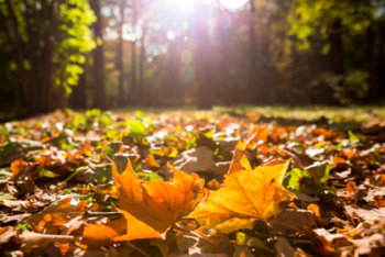 Фотография к новости: Потепление прогнозируют в Казахстане
