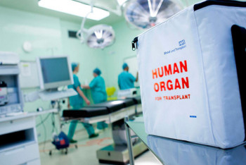 Фотография к новости: Согласиться или отказаться от донорства можно на портале eGov