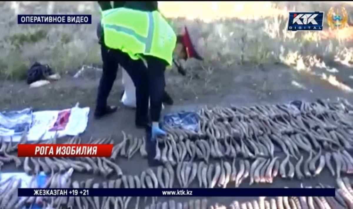 кадр из видео