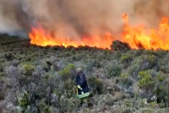 Фотография к новости: Cпасатели четвертый день тушат сильный пожар на склоне Килиманджаро