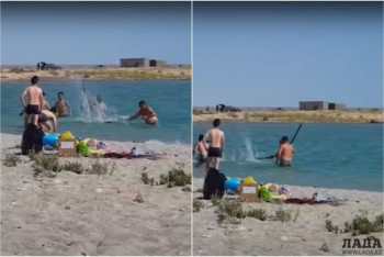 Фотография к новости: Били тюленя палками на Каспии: расследование прекращено