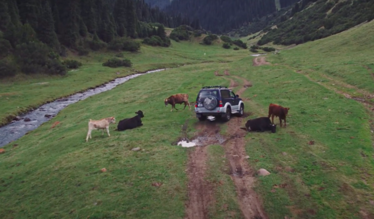 кадр из фильма