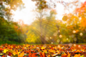 Фотография к новости: Какая погода ожидает казахстанцев 16 октября