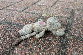 Фотография к новости: 1,3 тысячи человек погибли в ДТП с начала года в Казахстане