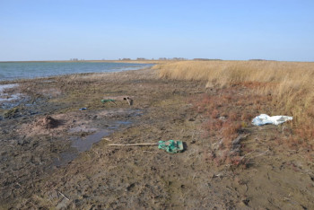 Фотография к новости: Более тонны редких рачков похитили из озера в СКО