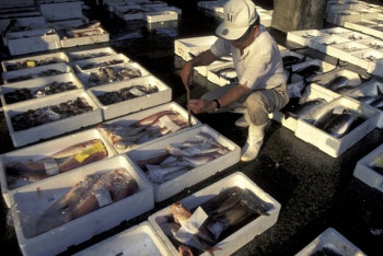 Фотография к новости: Коронавирус на замороженных продуктах обнаружили в Китае