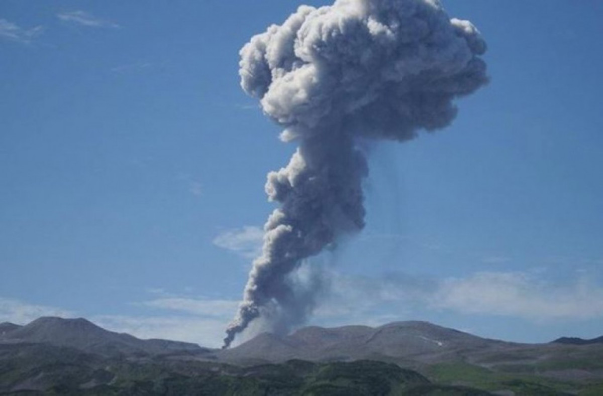 иллюстративное