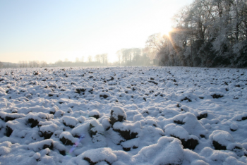 Фотография к новости: Снег ожидается в Казахстане