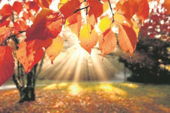 Фотография к новости: Какая погода ожидает казахстанцев 20 октября