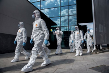 Фотография к новости: Собаки против коронавируса. Как в мире борются с пандемией