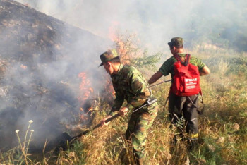 Фотография к новости: Крупный пожар локализовали в ущелье Алма-Арасан