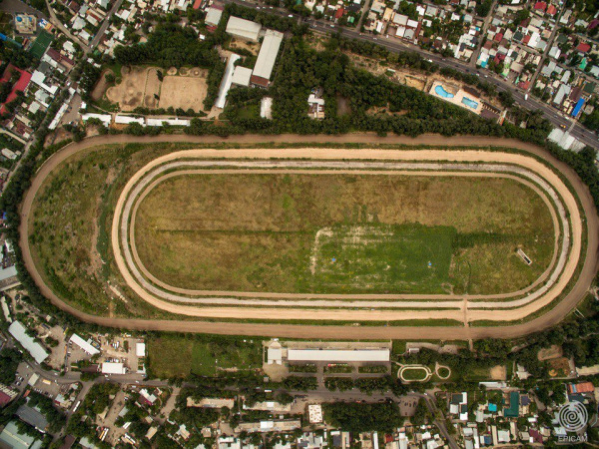 Члены Нацсовета просят Президента запретить застройку ипподрома в Шымкенте