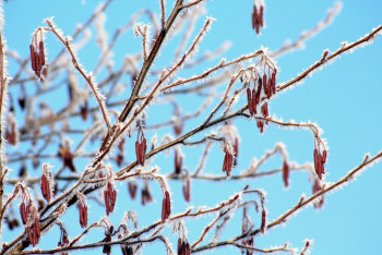 Фотография к новости: Штормовое предупреждение объявили в восьми регионах Казахстана