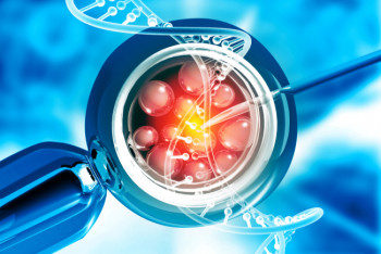 Фотография к новости: В яички доставили белок PIN1 и вылечили мужское бесплодие