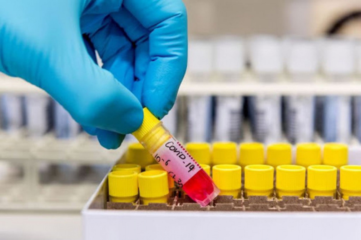 иллюстративное