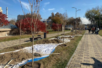 Фотография к новости: Каштановую аллею высадили журналисты в Алматы