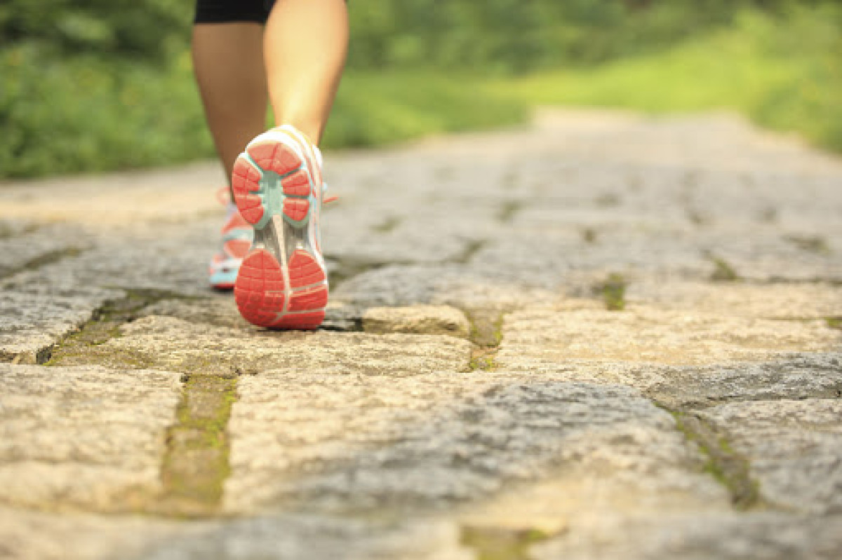 иллюстративное