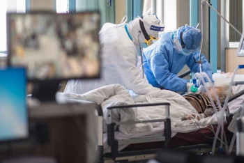 Фотография к новости: В ВОЗ заявили о росте числа смертей от коронавируса