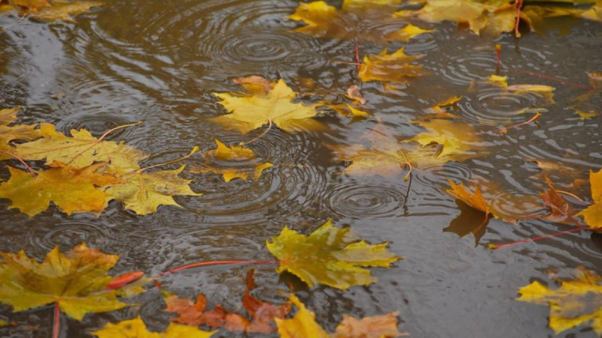 иллюстративное