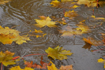 Фотография к новости: Какая погода ожидает казахстанцев 28 октября