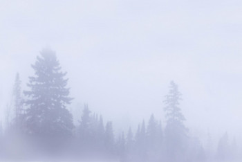 Фотография к новости: Снег и метель ожидаются в Казахстане