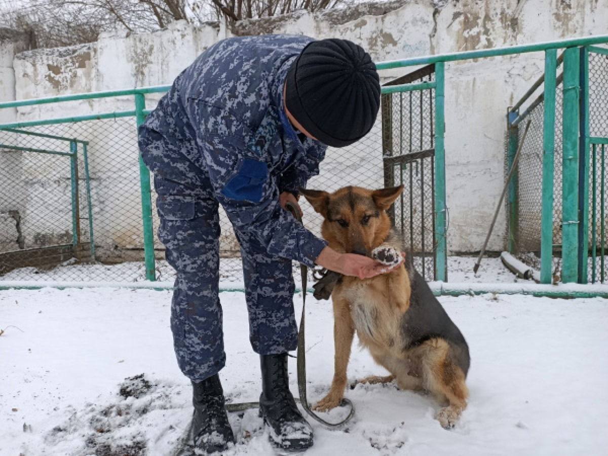 пресс-служба ДУИС Карагандинской области