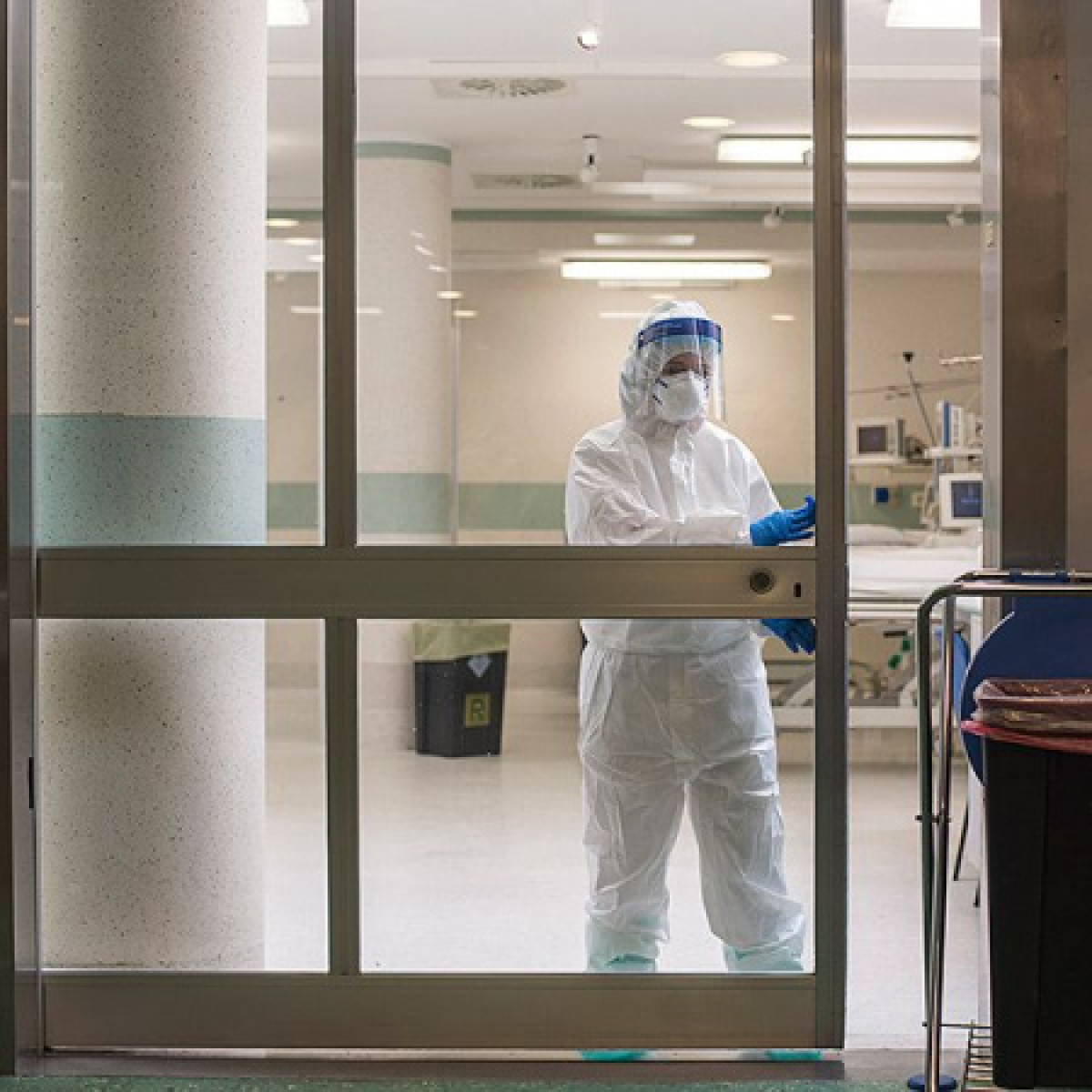 иллюстративное