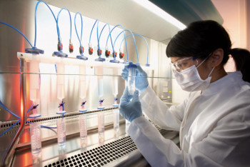 Фотография к новости: Cмертельно опасное заболевание у мужчин обнаружили биологи