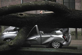 Фотография к новости: Суд обязал чиновников возместить костанайцу ущерб за поврежденную машину