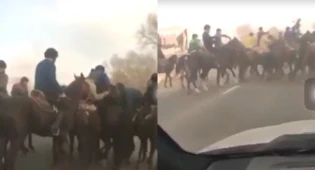 Кокпар на трассе устроили в Алматинской области