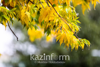 Фотография к новости: Какой будет погода в ноябре в Казахстане