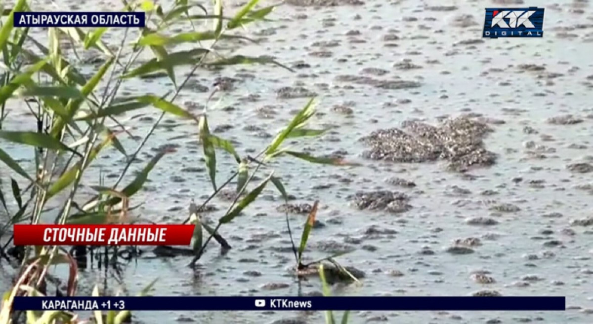 кадр из видео