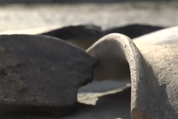 Фотография к новости: Древние курганы нашли во время строительства ТЦ в Семее