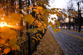 Фотография к новости: Какая погода ожидает казахстанцев 3 ноября