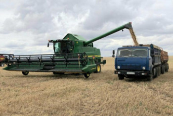 Фотография к новости: Более двух миллионов тонн зерна поставила Акмолинская область на экспорт