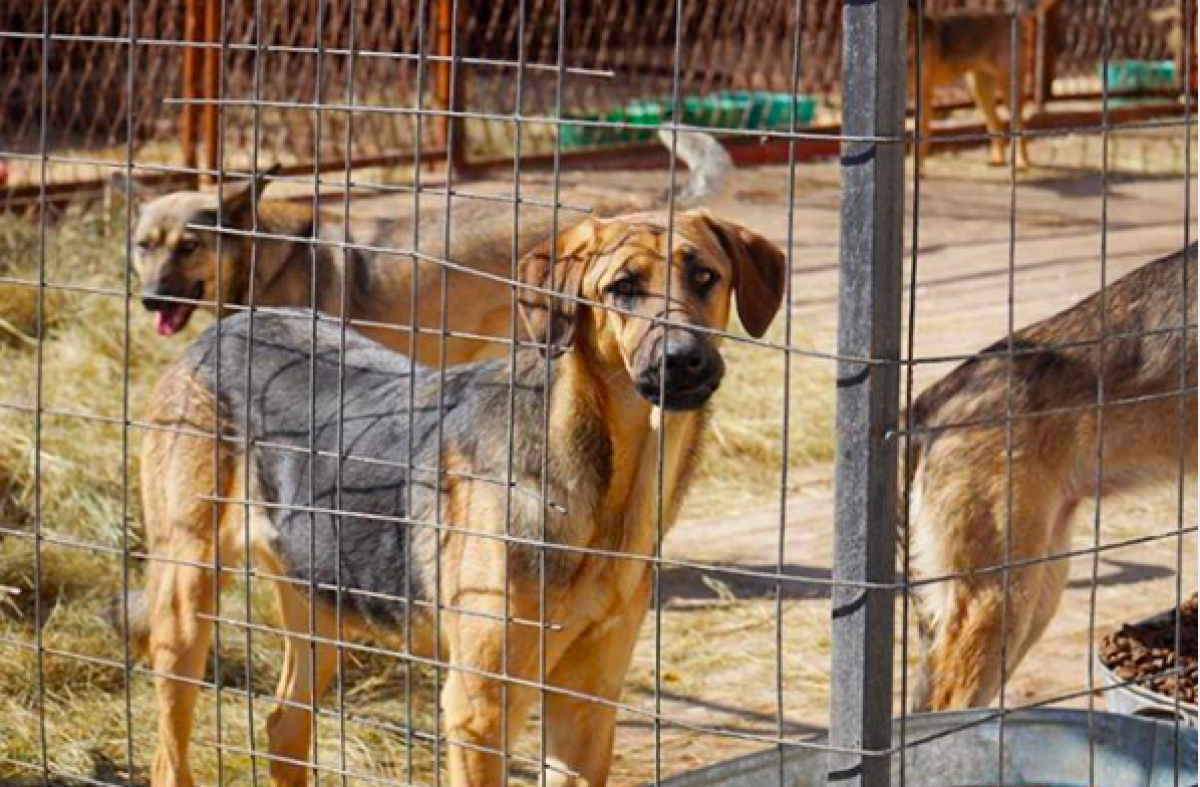 пресс-службы акимата Нур-Султана