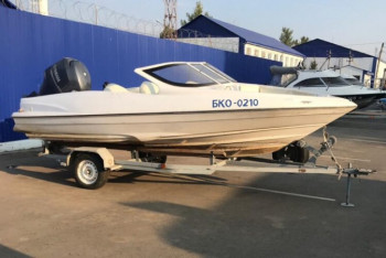 Фотография к новости: Сын депутата осужден по делу о смерти женщины под винтами катера в ЗКО