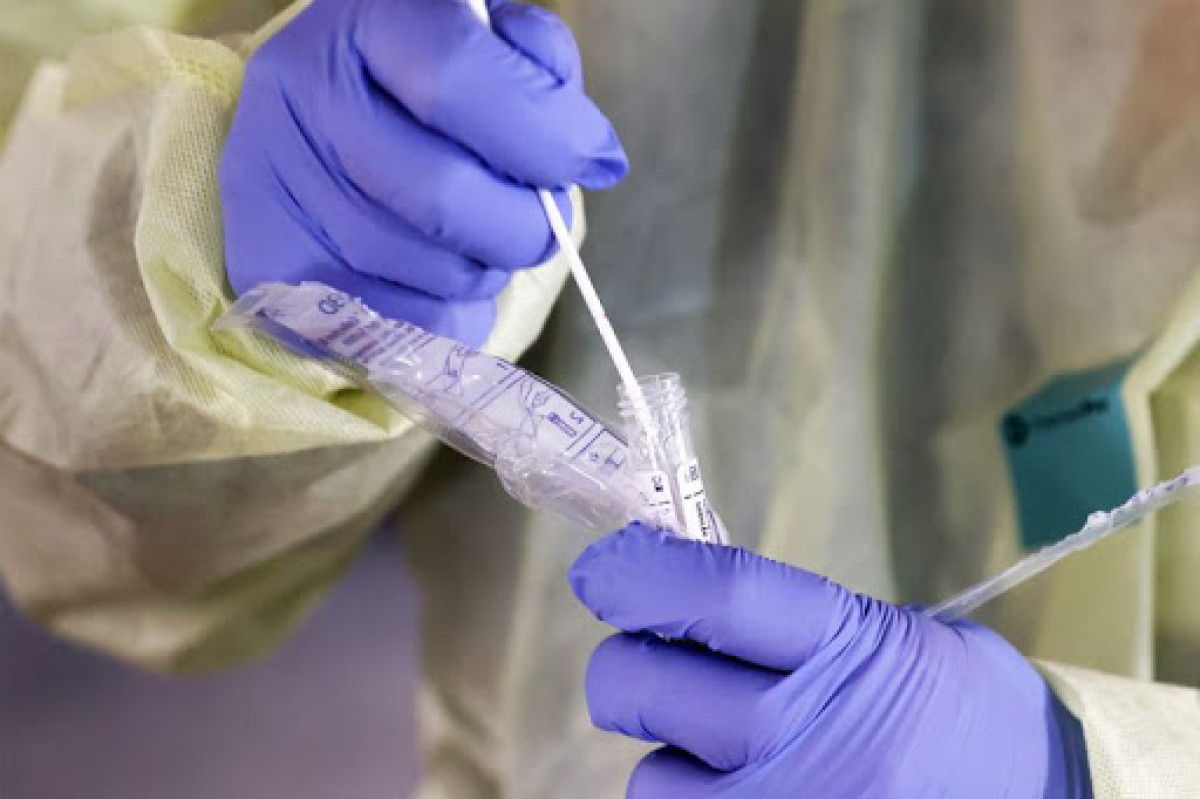 иллюстративное